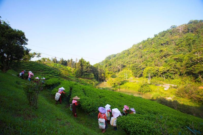 Fuli Hot Spring Resort หยูฉี ภายนอก รูปภาพ